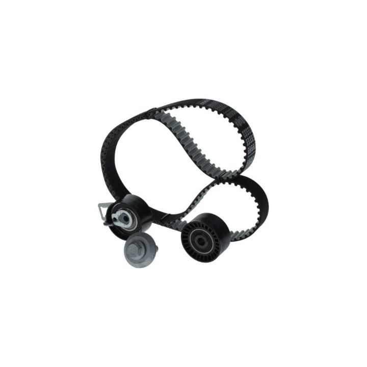 Triger Seti (139X254) Peugeot Citroen Ford 1.4 HDI TDCI (EURO5 Motor) İçin - BOSCH 1987946584