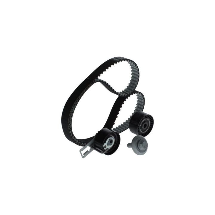 Triger Seti (139X254) Peugeot Citroen Ford 1.4 HDI TDCI (EURO5 Motor) İçin - BOSCH 1987946584