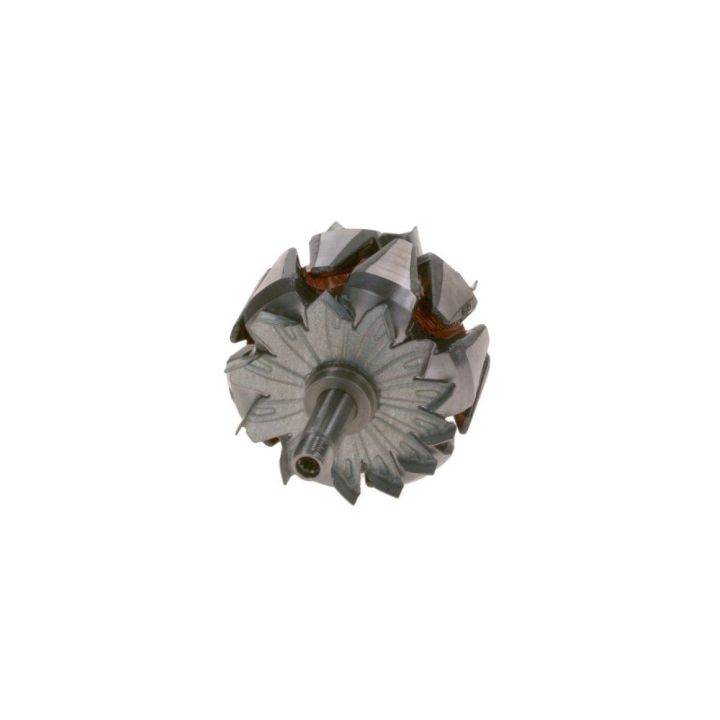 Alternatör Rotoru DAF 105 Euro 6 Ağır Vasıtalar İçin - BOSCH F00M131768