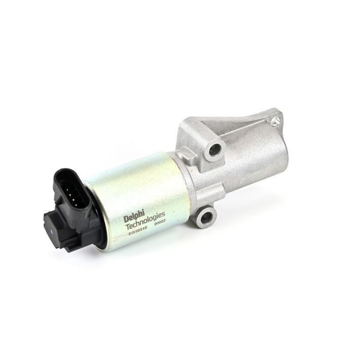 EGR Valfi Opel Astra Meriva Vectra Zafira Uyumlu - Delphi EG10310-12B1