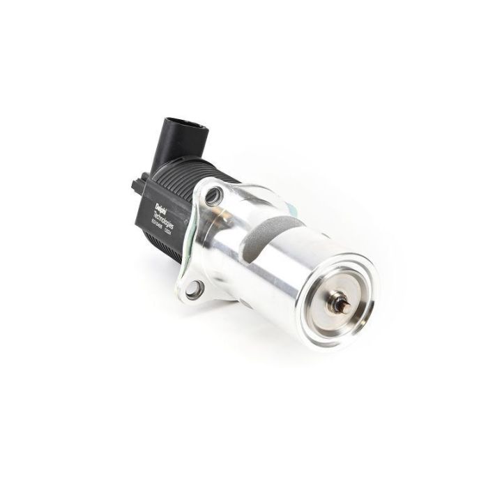 EGR Valfi Renault Avantime Espace Laguna Master Trafic Opel Vivaro (2000-) - Delphi EG10405-12B1