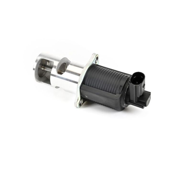 EGR Valfi Renault Avantime Espace Laguna Master Trafic Opel Vivaro (2000-) - Delphi EG10405-12B1