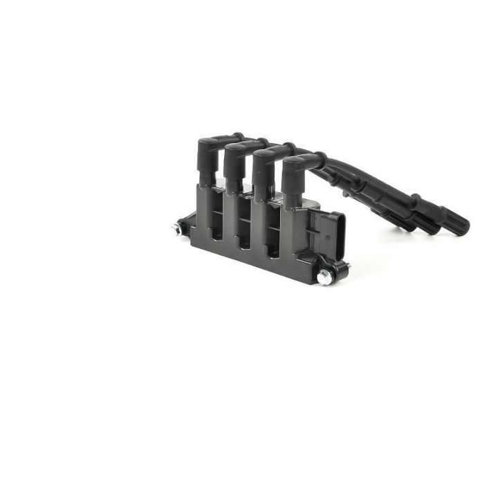 Ateşleme Bobini Alfa Romeo Fiat Ford Lancia Grubu - Delphi GN10492-12B1