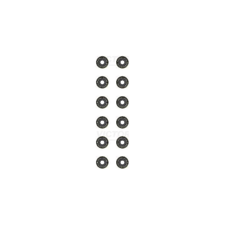 Subap Lastiği (Set) X10XEP Z10XEP Z12XEP A14XER (Opel/Vauxhall) - VICTOR REINZ 12-34223-01