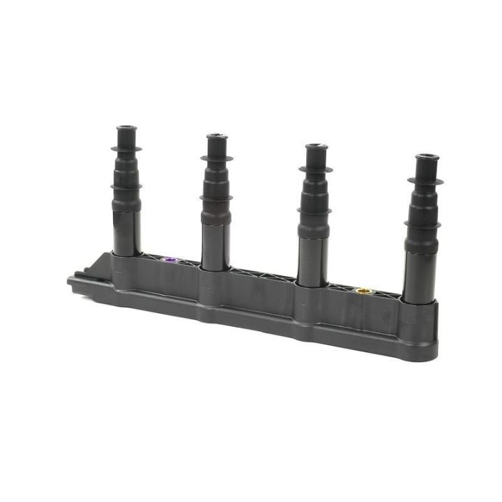 Ateşleme Bobini Citroen C2C3C4 1.4 16V Peugeot P206 P207 P307 1007 1.4 16V ET3J4- GN10239-12B1 Delphi