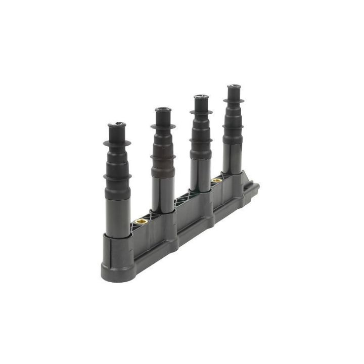 Ateşleme Bobini Citroen C2C3C4 1.4 16V Peugeot P206 P207 P307 1007 1.4 16V ET3J4- GN10239-12B1 Delphi