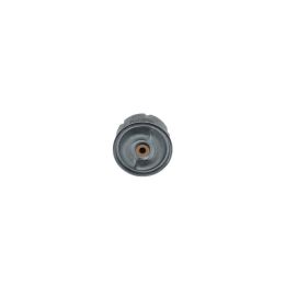 Yağ Filtresi Ford Transit Defender İçin (2.4 TDCI / 2.5 TD5) (90PS-130PS) - Bosch F026407099