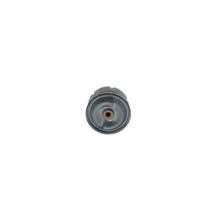 Yağ Filtresi Ford Transit Defender İçin (2.4 TDCI / 2.5 TD5) (90PS-130PS) - Bosch F026407099