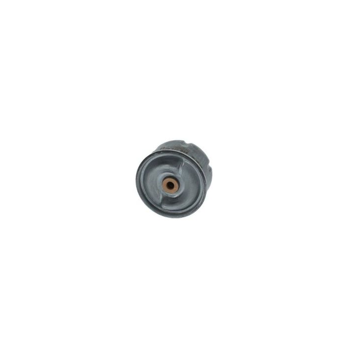 Yağ Filtresi Ford Transit Defender İçin (2.4 TDCI / 2.5 TD5) (90PS-130PS) - Bosch F026407099