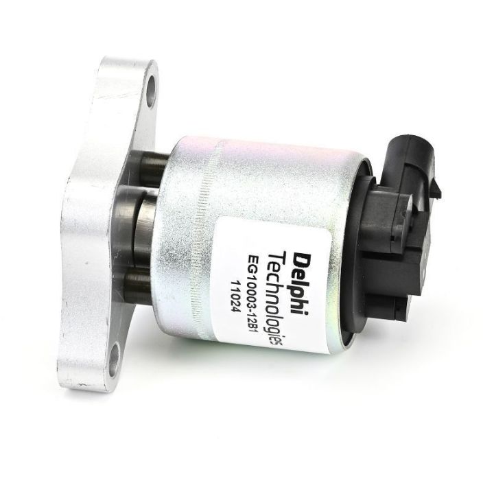 Egr Valfi - Opel Astra F, Astra G, Combo, Meriva A, Tigra, Vectra B, Vectra C, Zafira A (1991-2008) - DELPHİ EG10003-12B1