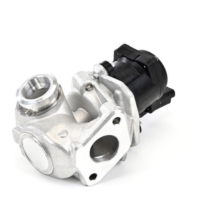 EGR Valfi - Citroën Berlingo, C2, C3, C3 Picasso, C4, C4 Grand Picasso, C4 Picasso - DELPHİ EG10401-12B1