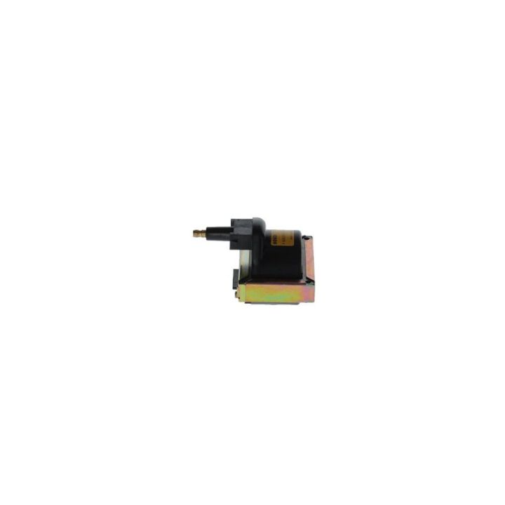 Ateşleme Bobini R9 R11 R19 R21 Flash Clio Laguna Megane Scenic - BOSCH F000ZS0115