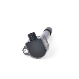 Ateşleme Bobini – Honda Civic (1996) OEM 30520-RNAA-01 – Delphi GN10324-12B1