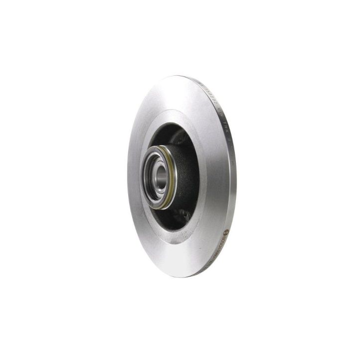 Arka Fren Diski Renault Laguna II Scenic II İçin (2001-2009) - Bosch 0986479273