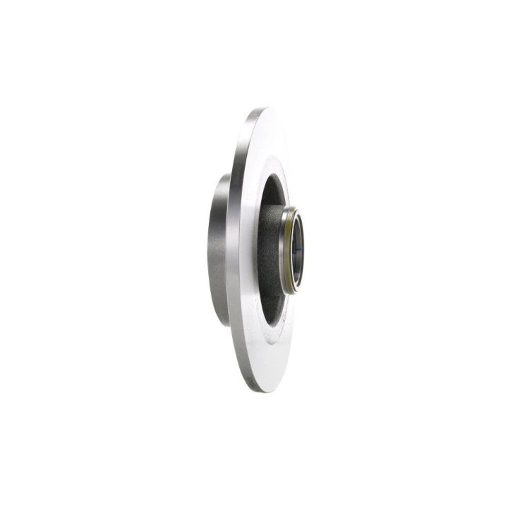 Arka Fren Diski Renault Laguna II Scenic II İçin (2001-2009) - Bosch 0986479273