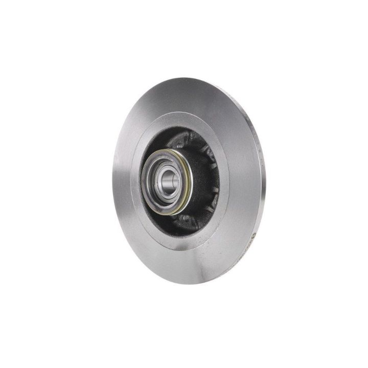 Arka Fren Diski Renault Laguna II Scenic II İçin (2001-2009) - Bosch 0986479273