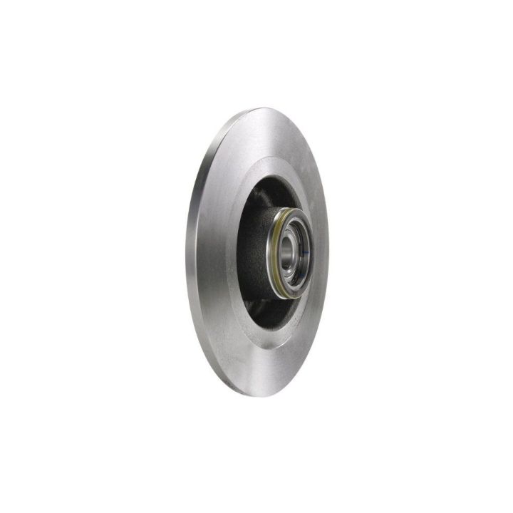 Arka Fren Diski Renault Laguna II Scenic II İçin (2001-2009) - Bosch 0986479273