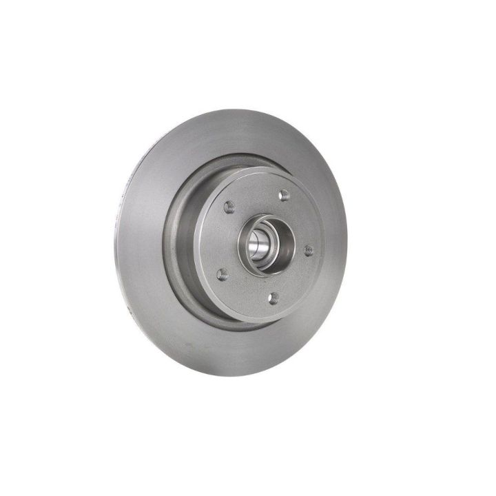 Arka Fren Diski Renault Laguna II Scenic II İçin (2001-2009) - Bosch 0986479273