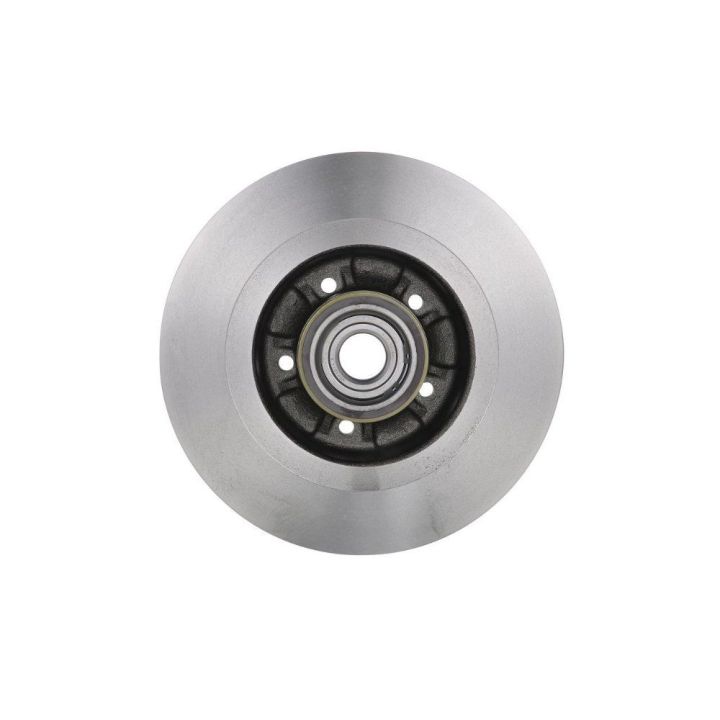 Arka Fren Diski Renault Laguna II Scenic II İçin (2001-2009) - Bosch 0986479273
