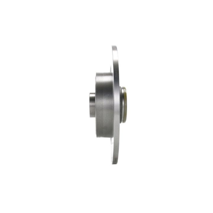 Arka Fren Diski Renault Laguna II Scenic II İçin (2001-2009) - Bosch 0986479273