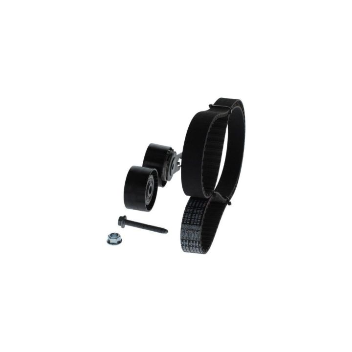 Triger Seti 137 Diş 25mm Citroen Peugeot Ford HDI TDCI DV6 Motor İçin - Bosch 1987948206