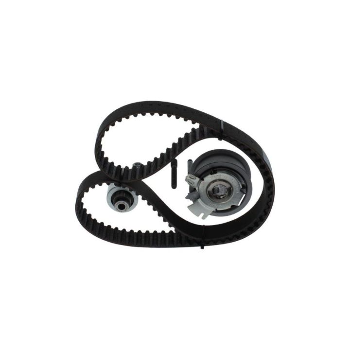 Triger Seti 120X300 Caddy III Octavia Fabia Golf IV Polo IV Cordoba T5 Ford Galaxy 1.4 1.9 TDI İçin (2000-) - BOSCH 1987948253