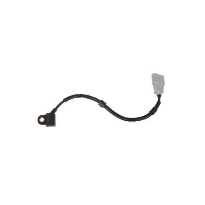 Eksantrik Mili Sensörü Audi, Seat, Skoda Modelleri İçin - DELPHİ SS10964