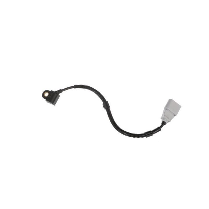 Eksantrik Mili Sensörü Audi, Seat, Skoda Modelleri İçin - DELPHİ SS10964