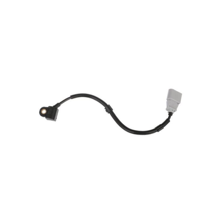 Eksantrik Mili Sensörü Audi, Seat, Skoda Modelleri İçin - DELPHİ SS10964