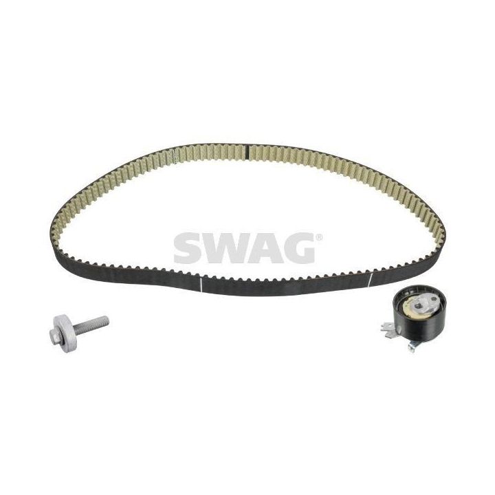 Eksantrik Gergi Kiti Clio II Kangoo Megane II Espace Scenic II İçin (2001-) - SWAG SW60100520