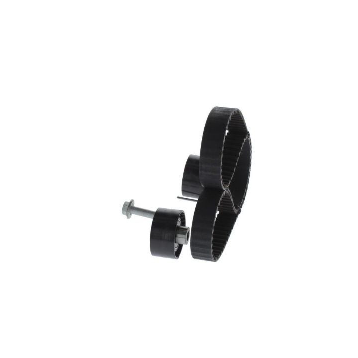 Triger Eksantrik Gergi Seti Peugeot Citroen Fiat Scudo Ford Focus C-Max 2.0 İçin - BOSCH 1987948208