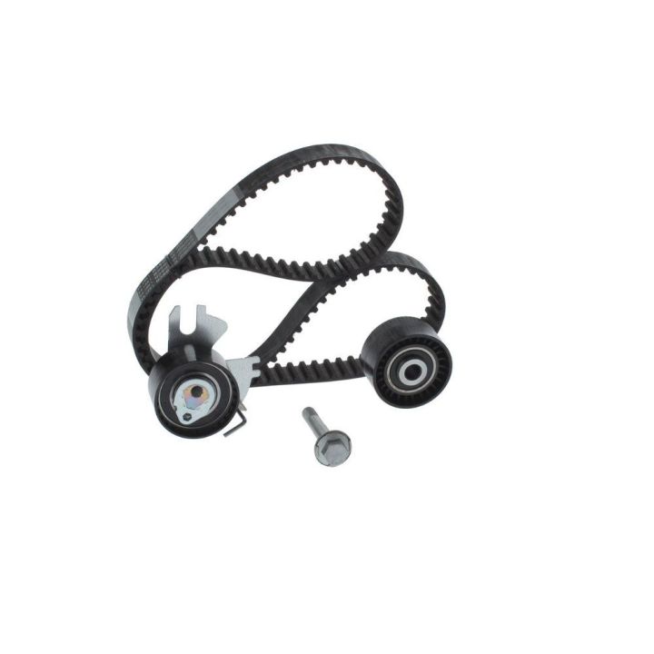 Triger Eksantrik Gergi Seti Peugeot Citroen Fiat Scudo Ford Focus C-Max 2.0 İçin - BOSCH 1987948208