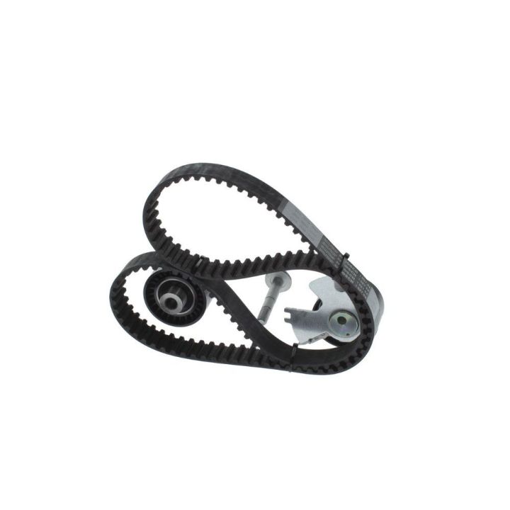 Triger Eksantrik Gergi Seti Peugeot Citroen Fiat Scudo Ford Focus C-Max 2.0 İçin - BOSCH 1987948208