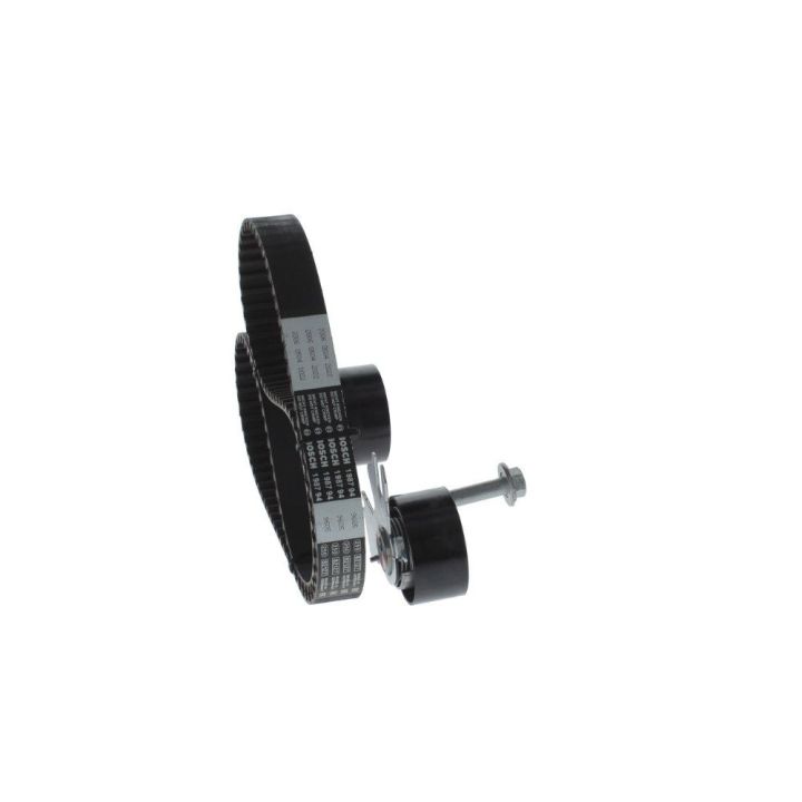 Triger Eksantrik Gergi Seti Peugeot Citroen Fiat Scudo Ford Focus C-Max 2.0 İçin - BOSCH 1987948208
