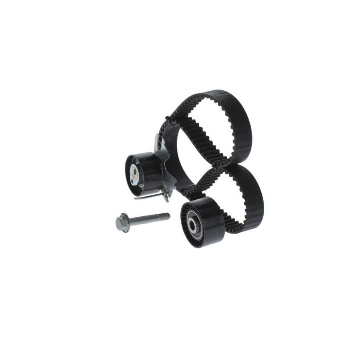 Triger Eksantrik Gergi Seti Peugeot Citroen Fiat Scudo Ford Focus C-Max 2.0 İçin - BOSCH 1987948208